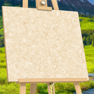 Azulejos de mármol chino Recién llegado azulejos de porcelana impresos digitales Fabricación en India para Villa grande de lujo. - Product Image 1