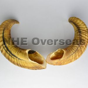 Cuerno de carnero natural para masticar perros, golosinas saludables de larga duración para perros, cuidado dental seguro, juguetes para masticar para mascotas, entrenamiento de masticadores fuertes - Product Image 1