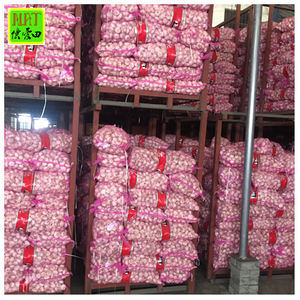 Exportación de <span class=keywords><strong>ajo</strong></span> blanco sin pelar de China de 5 cm con GLOBAL GAP 2023 nuevo <span class=keywords><strong>cultivo</strong></span> orgánico <span class=keywords><strong>ajo</strong></span> blanco normal fresco para venta al por mayor - Product Image 6