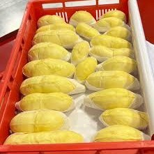 ทุเรียนทรงสูงแบบไร้เมล็ดเมล็ดเมล็ดสำหรับคนชอบทุเรียน - Product Image 6