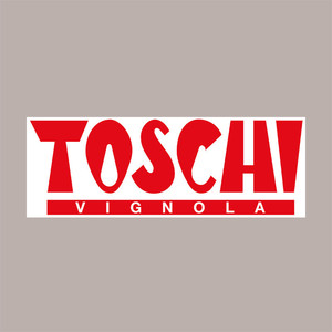 TOSCHI 3.2 kg Pre-Candied <b>Amarena</b> <b>Cherry</b> Syrup Sauce for Cake Decorating - Product Image 2