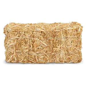 Alfafa Hay Feed/ Best Alfalfa para la venta Alfafa Hay Animal Feeding Stuff Alfalfa, Hay/alfalfa heno de alta calidad Alfafa Hay Animal - Product Image 6