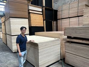 Contreplaqué de protection filmé toutes tailles, fabriqué au Vietnam, en bouleau, pour meubles de cuisine, chambre, salle à manger, entrepôt, salon, hôtel, atelier, usage principal - Product Image 2