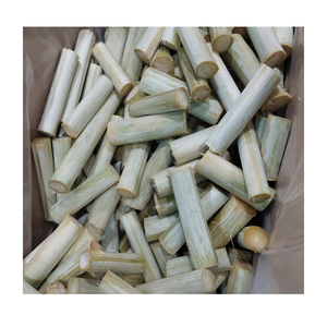 Meilleure vente avec canne à sucre congelée de haute qualité, prête à être expédiée avec une qualité supérieure pour l'exportation depuis le Vietnam 2024 - Product Image 1