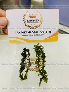 องุ่นทะเลอบแห้งขนาด100กรัมกล่องบรรจุซิป5ชิ้นราคาขายส่งสาหร่ายโภชนาการจากเวียดนาม - Product Image 4