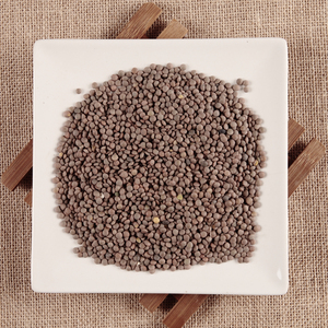 Lentilles séchées d'apparence fraîche Lentilles séchées riches en nutriments disponibles pour la vente en gros - Product Image 5