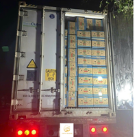 Melon d'eau sans pépins frais planté au Viet Nam emballage 13kg par carton exporté par le sud du Mékong Vietnam