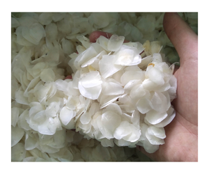 Balance pour les écailles de poisson séchées au collagène du Vietnam Meilleur prix Fruits de mer séchés - Product Image 5