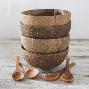 Vietnam de haute qualité Logo personnalisé fait à la main écologique biologique non poli petite salade de bois noix de coco coquille bols avec cuillères - Product Image 2
