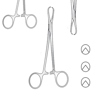 Producto de alta calidad Shaw Tissue Forceps Box Joint 1-2 dientes, 178mm de largo Fabricación de acero inoxidable quirúrgico en Pakistán - Product Image 1