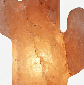Lámpara de Sal del Himalaya con Forma de Cactus, Funciona con Batería, Tallada a Mano, Cristal Rosa Natural, Luz Nocturna Portátil para Escritorio y Decoración de Viaje - Product Image 3