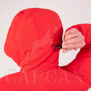 100% Polyester Softshell Hiver Manteau Capuche Dernière Conception Haute Qualité Marque Privée Femmes Veste Avec Bouton Décoration - Product Image 4