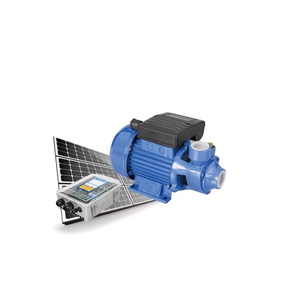 Bomba de Agua Solar de Nivel Básico de 200 Vatios CC, Bomba de Superficie con Panel Solar Pequeño para Demostraciones en Jardines Estudiantiles - Product Image 1