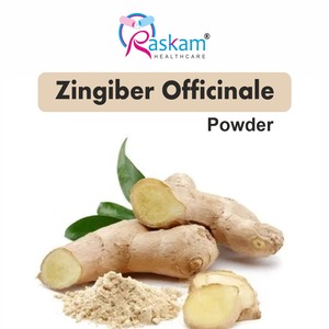Proteína en polvo Zingiber Officinale para adultos del proveedor directo de fábrica - Product Image 2