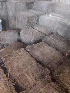 Poudre de tisane gelée d'herbe noire séchée au soleil de qualité supérieure pour desserts et boissons Lotus bleu + 84 966 284 584 - Product Image 2