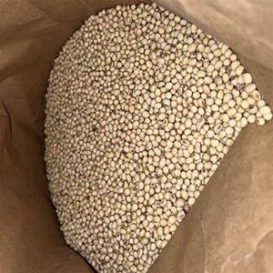 Semillas de Colza (Grano de Colza) de Grado Industrial para la Producción de Goma Guar de Alta Calidad a Precios Moderados - Product Image 4