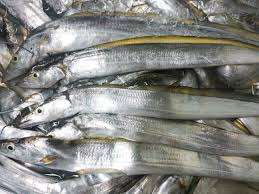 Pescado Congelado de Primera Calidad, Bajo en Carbohidratos y Sal, Tamaño 6cm, en Venta - Product Image 5