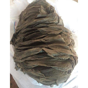 Omasum de ternera salada congelada de vaca Halal de calidad fresca a la venta - Product Image 5