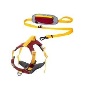 Adjustable Nylon <b>Dog</b> <b>Harness</b> with Buckle Closure for <b>Medium</b> <b>Dogs</b> in Purple Pink Green Colors - Product Image 5