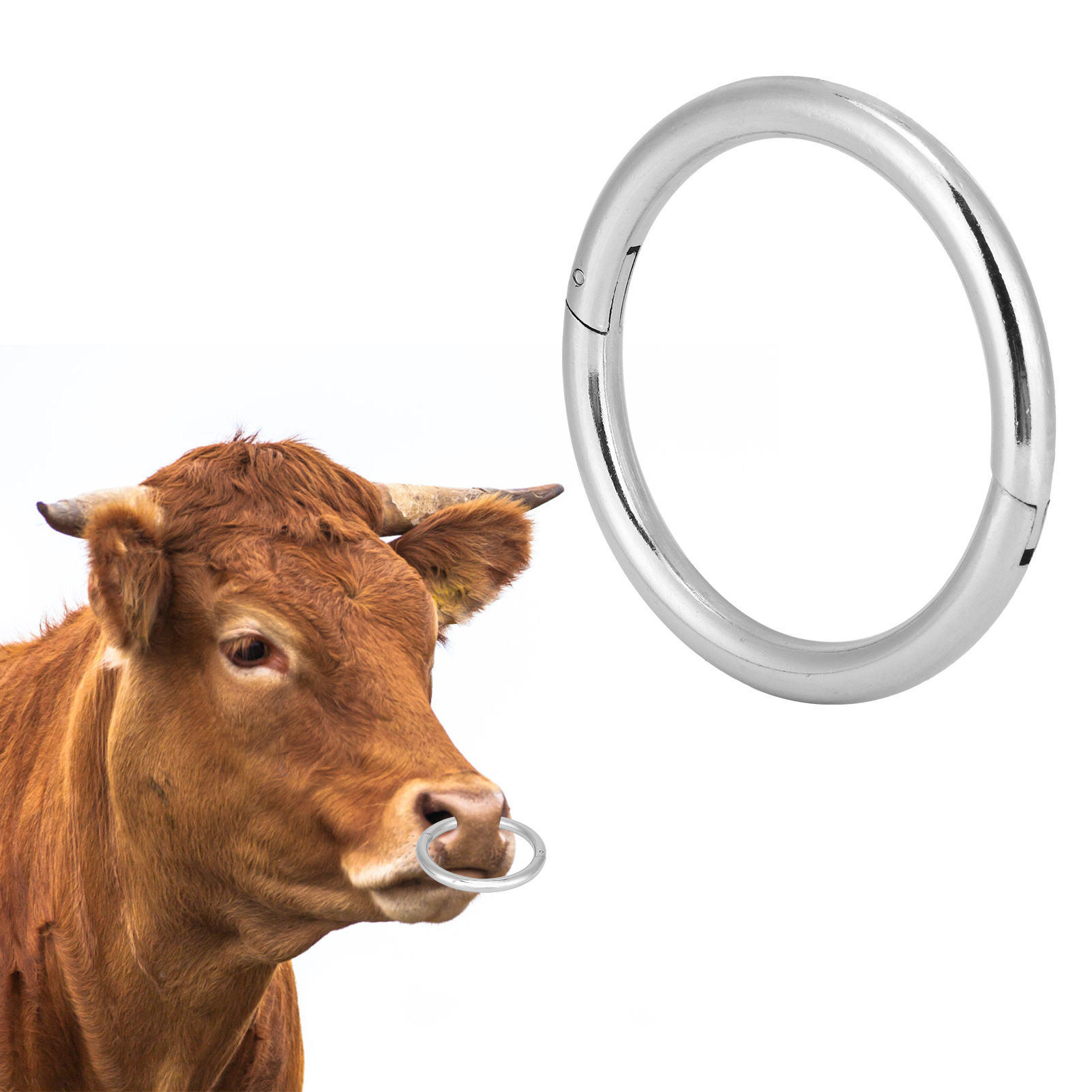 Bull Hot Nose Rings New Professional Quality Customized Logo