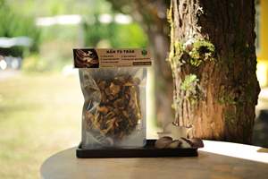 Croustilles de champignons artisanales de qualité supérieure Shiitake Pulmonarius Sajor Caju Pink Notaky Export - Product Image 5