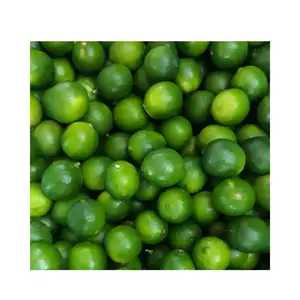 Fast Delivery Best Quality Fresh Lime Market Price Fresh Green Citrus Fruit- Fresh Lemon Export in Vietnam Lemon Green