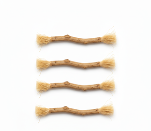 NatureGlow Organic Wooden Tooth Stick Herbal Whitening Gum Strength Eco Friendly Dental Hygiene Oral Cleaning Fresh Miswak - Product Image 6