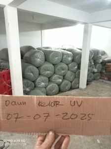 Hoja moringa - Product Image 2