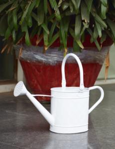 Arrosoir en métal de style contemporain avec finition noire brillante idéal pour l'intérieur élégant et les jardins de table - Product Image 4