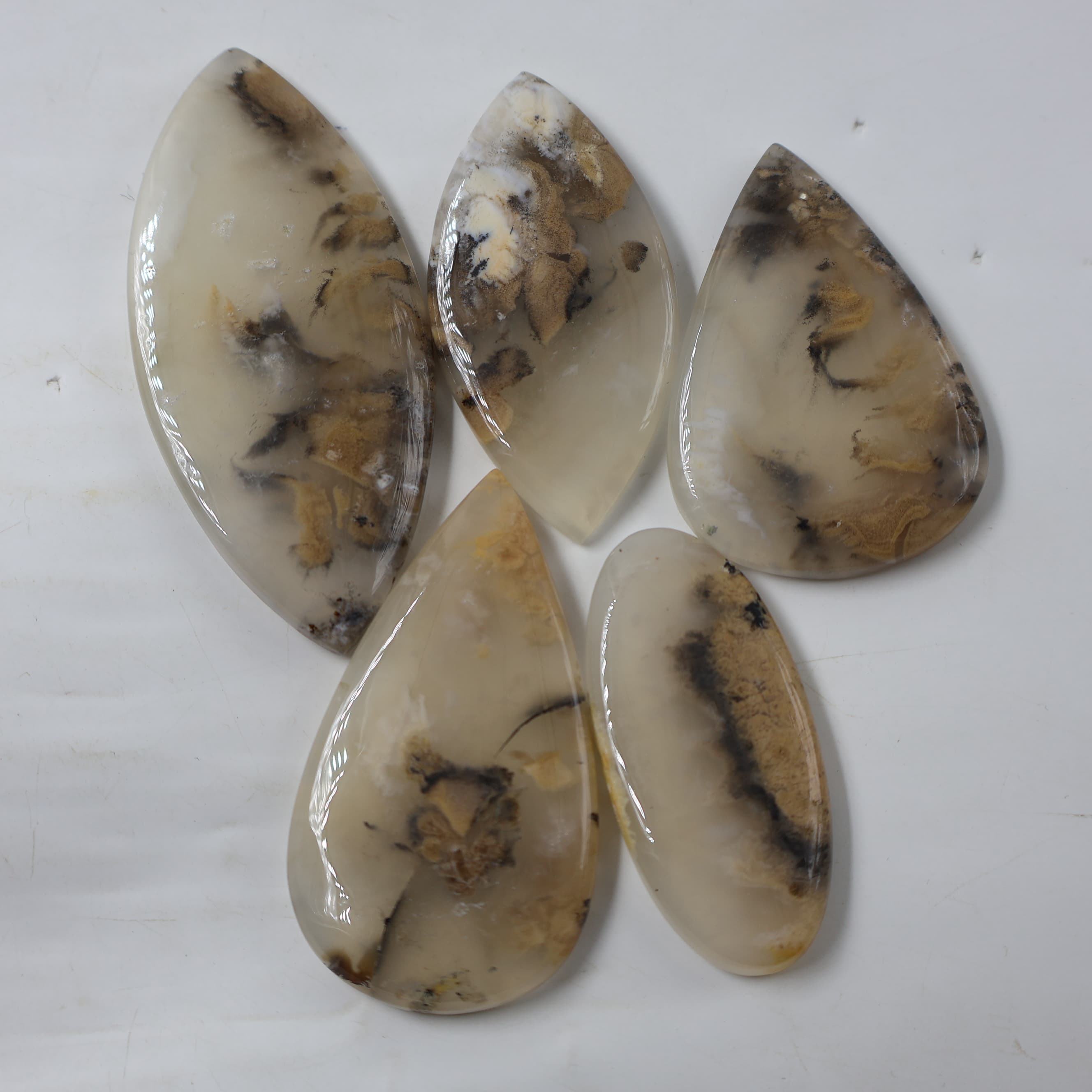 เห็นเป็นภาพ