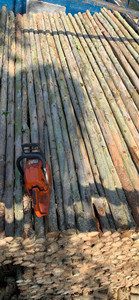 Grandes cantidades de madera en redondo de Vietnam sirven a la producción agrícola barata - Product Image 3