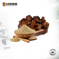Poudre de champignon Chaga LiGNO CG06 séchée à froid, complément bien-être pour l'éclat de la peau, compatible OEM/ODM, nutraceutique fonctionnelle naturelle