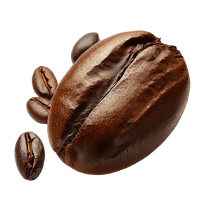 Grains de café Arabica équilibrés, torréfiés de qualité supérieure pour les baristas et les distributeurs de café - Product Image 3