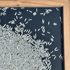 [Nueva llegada] Venta caliente Homali KDM Premium arroz blanco duro HACCP certificado Vietnam Arroz de grano medio 5Kg 10Kg 25Kg 50Kg - Product Image 4