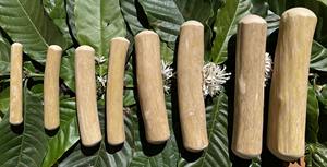 VietChoice Classic Coffee Wood Dog Chew Toy Juguete para masticar mascotas natural de alta calidad para Limpieza de dientes fuerte Hecho en Vietnam - Product Image 2