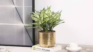 Juego de macetas de jardín de oro rubor más vendido de dos macetas decorativas de metal con soporte de ARTISAN AURA para el hogar y el jardín - Product Image 2