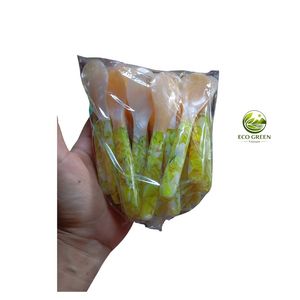 Cuillère à café en nacre naturelle, cuillère en coquillage faite à la main, manche en résine colorée, écologique, cuillère à dessert moderne de luxe Ho Chi - Product Image 1