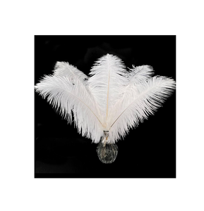 Plumas de avestruz baratas a la venta, plumas de calidad superior para moda, artesanía y decoración, pedidos a granel disponibles - Product Image 2