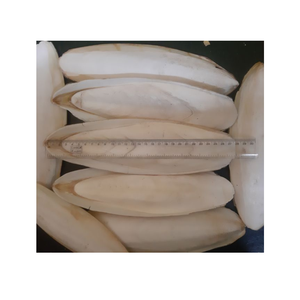 Os de seiche séché d'origine du Vietnam pour accessoires de cage à oiseaux friandise naturelle - Product Image 5