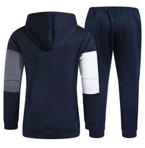 Ensemble de survêtement décontracté unisexe Eagle View 2 pièces en promotion – Respirant, antistatique, avec sweat à capuche et pantalon de jogging à manches longues 100 % coton - Product Image 2