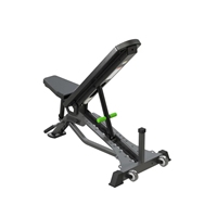 Banc de musculation réglable à charge libre Brawn Strength pour salle de sport, équipement de musculation OEM ODM