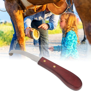 Cortauñas de pie de vaca Veterinaria con logotipo personalizado, cuchillos para pezuñas de caballos y ganado, equipo de recorte, recortador de pezuñas de ganado, cortador de pezuñas de animales - Product Image 6