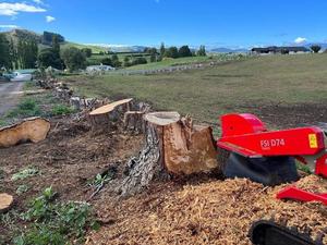 FSI D74 <b>Tracked</b> Forestry Machinery 15hp PTO Power Source Used Condition with Remote Stump Grinder 1 Year Warranty - Product Image 2