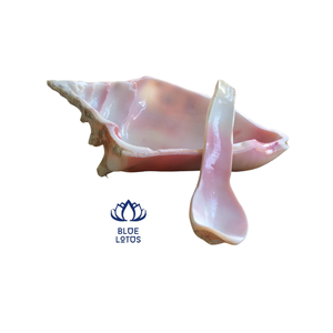Cuillère à caviar en coquille de conque écologique Blue Lotus Clara Vintage, prix compétitif - Product Image 1