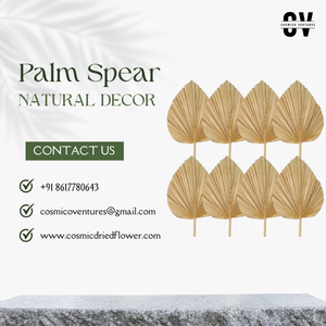 High Quality Wholesale Natural Palm Spear for Crafts DIY Events <b>Decor</b> Dried Flower & Wedding <b>Decor</b> Halloween - Product Image 3