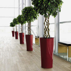 Maceta Grande de Diseño Moderno para Interiores, Color Negro, Plateado y Dorado, Decoración con Soporte, Plantas Artificiales Vivas, Kit para Jardín de Hotel - Product Image 6