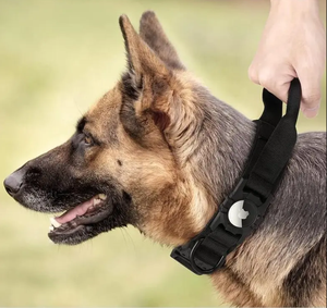 उच्च गुणवत्ता समायोज्य त्वरित रिलीज ठोस नायलॉन सामरिक कुत्ते कॉलर और कस्टम लोगो के साथ - Product Image 5