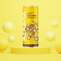 Kombucha Hoogwaardige Fruitgearomatiseerde Bronnen Van Natuurlijke Niet-Alcoholische Op Maat Gemaakte Verpakkingen Gemaakt In Vietnam Fabrikant
