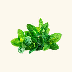 Huile aromatisante à la menthe verte, qualité supérieure, agents aromatisants - Product Image 2