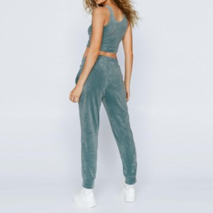 OEM vente en gros velours 100% coton sweats à capuche survêtements femmes grande taille 2 pièces ensemble automne hiver velours dames sac de vêtements de sport - Product Image 2